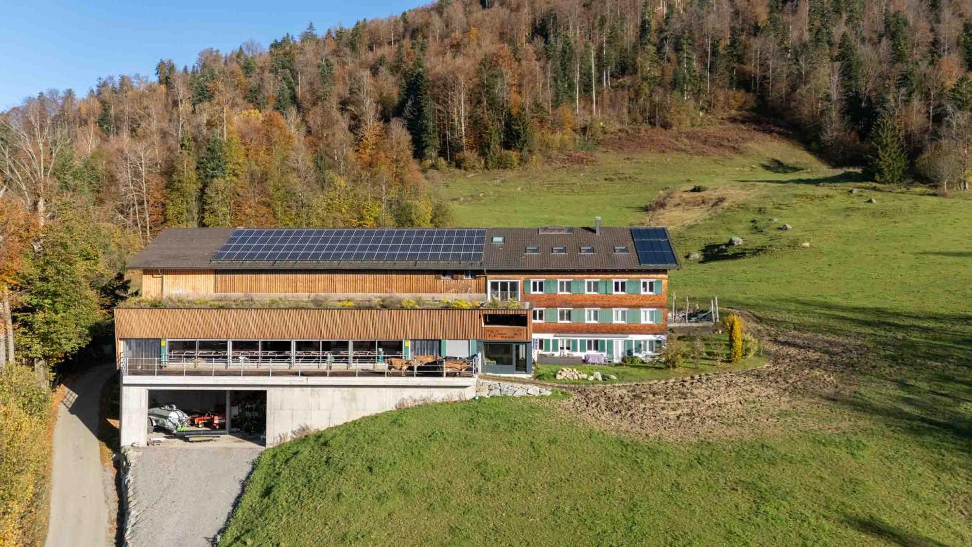 Ferienhof Duerlinde Hittisau Dış mekan fotoğraf