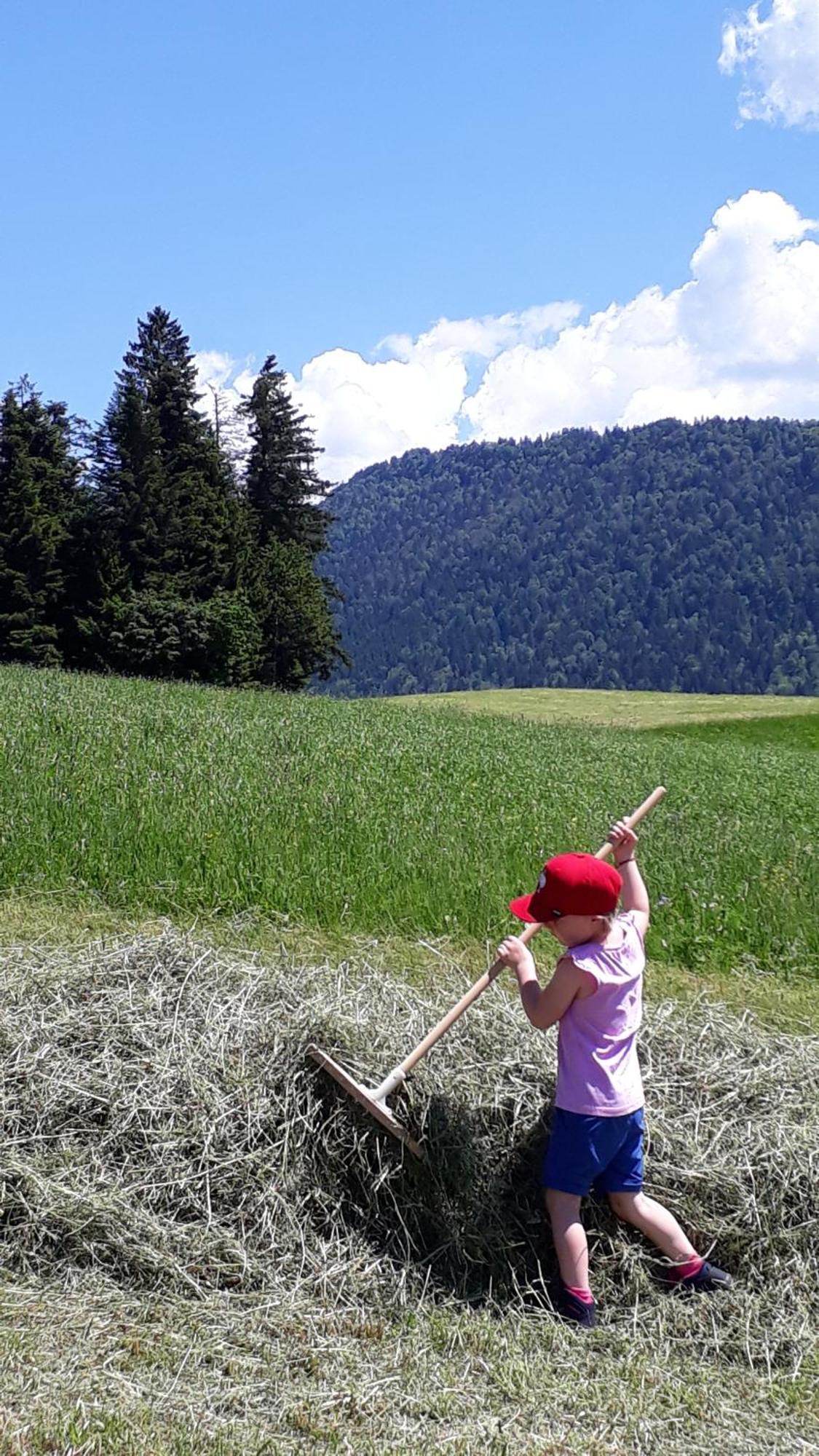 Ferienhof Duerlinde Hittisau Dış mekan fotoğraf