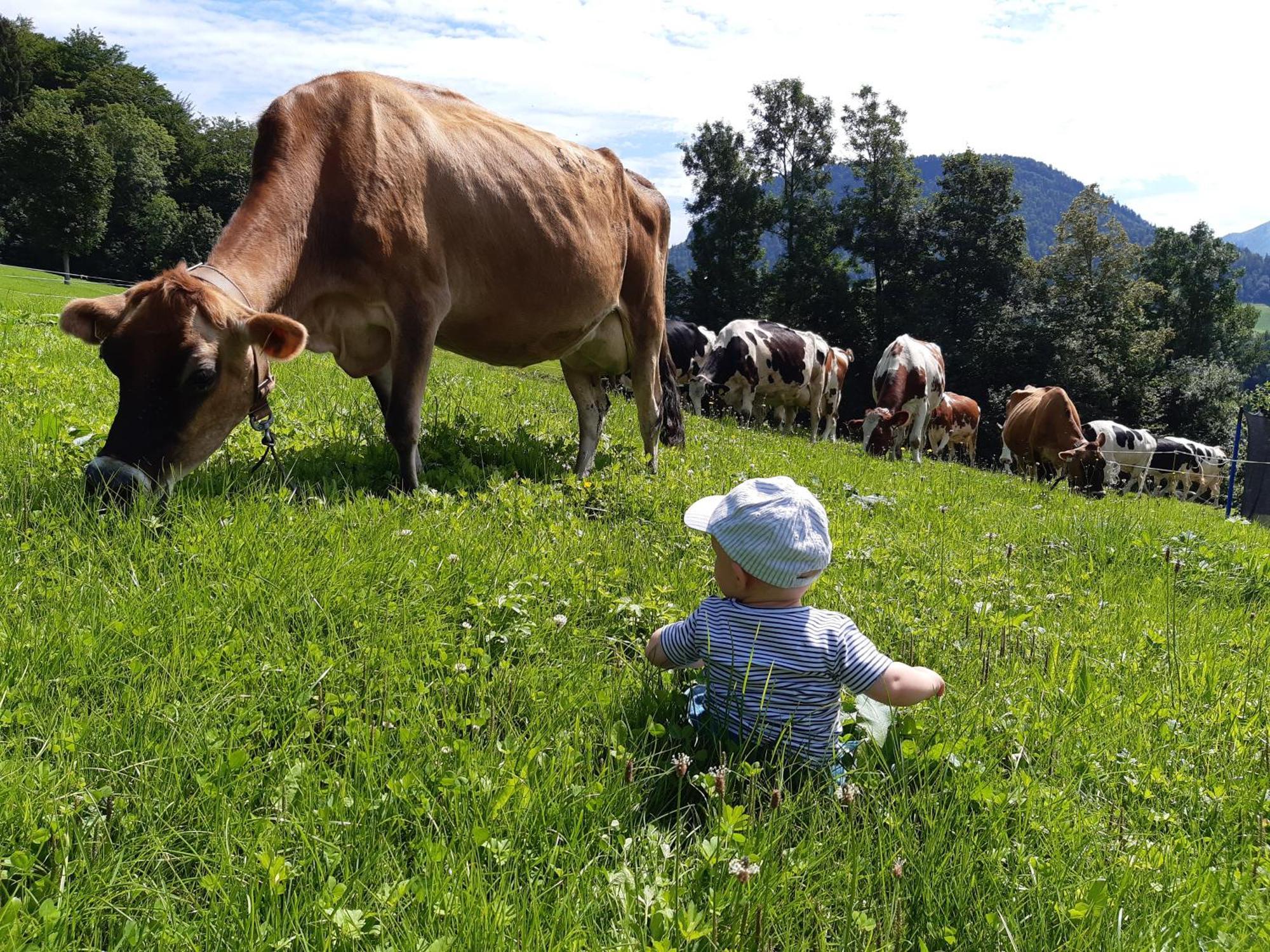 Ferienhof Duerlinde Hittisau Dış mekan fotoğraf