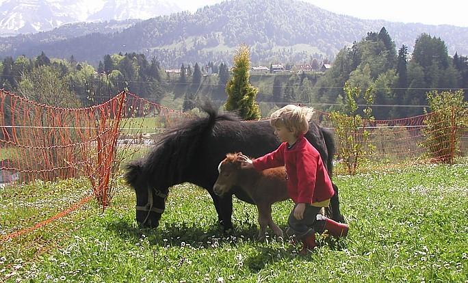 Ferienhof Duerlinde Hittisau Dış mekan fotoğraf